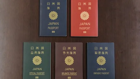 柯洁退赛更名：世界围棋九冠王荣耀归来 中新网报道