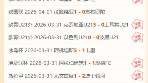 布伦特福德1-1埃弗顿战报：蒂亚戈点球，贝托头球扳平